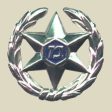 IDF Israel Police Classic Hat Insignia Online