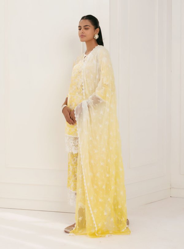 Mulmul Cotton Tista Yellow Kurta With Tista Yellow Palazzo Online Sale