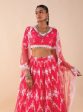 Mulmul Almora Red Net Lehenga Sale