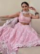 Mulmul Kasauli Pink Net Lehenga Online