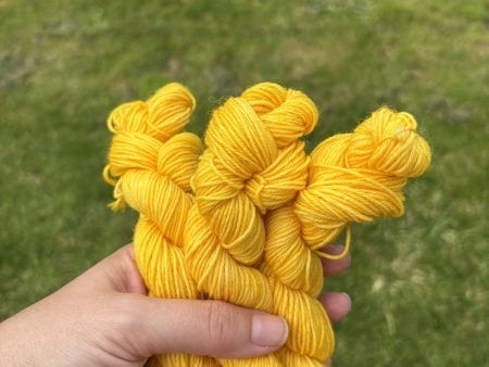 Knitsch BFL Sock Mini - Yellow Brick Road Online Hot Sale