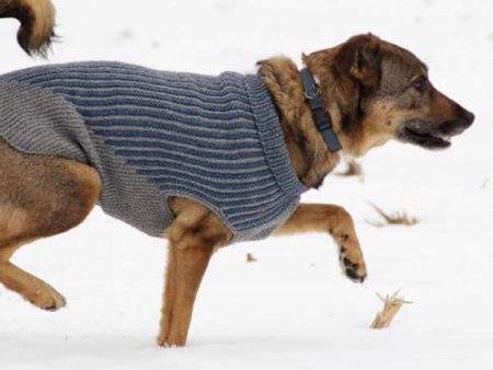 Bird Island Dog Sweater - Woolstok Printed Pattern Online Hot Sale