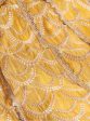 Mulmul Organza Morni Yellow Lehenga Fashion