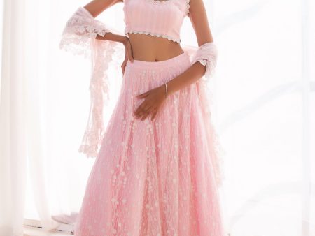 Mulmul Kasauli Pink Net Lehenga Online