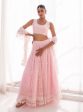 Mulmul Kasauli Pink Net Lehenga Online