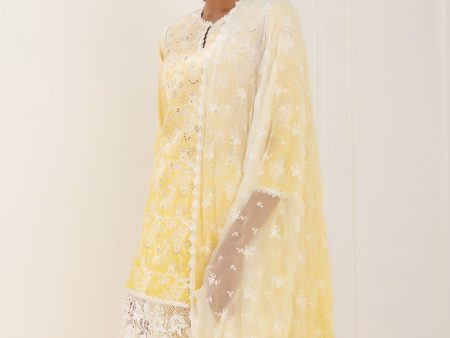 Mulmul Cotton Tista Yellow Kurta With Tista Yellow Palazzo Online Sale