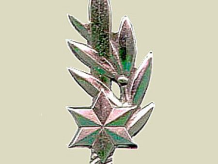 KATZIN - IDF Combat Officer Insignia Online