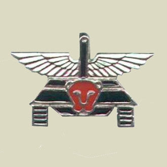 PALSAR 500 - Tank Commando Insignia Online Sale