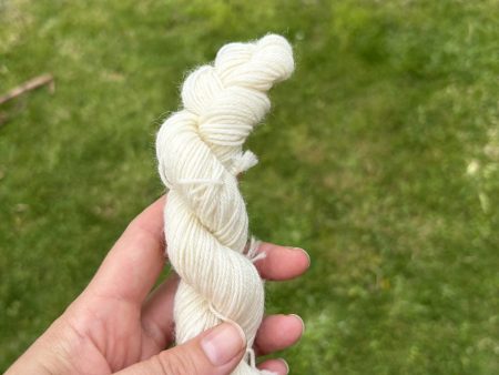 Knitsch BFL Sock Mini - A careful breath Online now