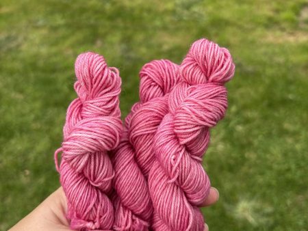 Knitsch BFL Sock Mini - Sentient cake Discount