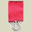 Medal of Courage Online