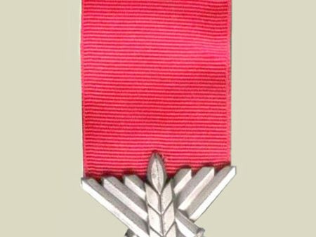 Medal of Courage Online