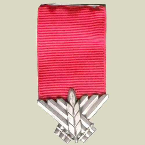 Medal of Courage Online