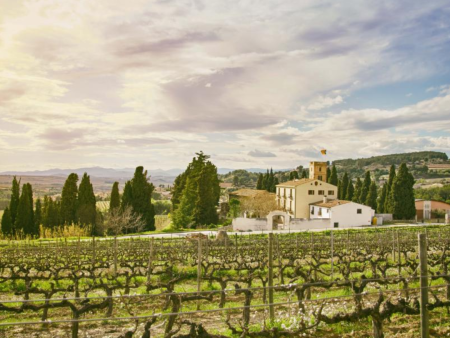 VISITA CELLER ALBET I NOYA + MIRADOR DE LES CAVES Online Hot Sale