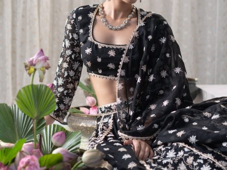 Mulmul Organza Madhvi Black Lehenga Discount