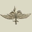 SAYERET MATKAL - Special Forces Insignia Sale