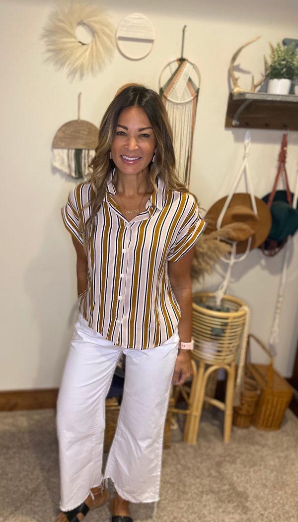 Mavrick top   brown striped  basics   wear to work Online Sale