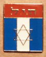 The Jewish Brigade Pin Online now