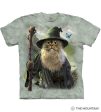 Gandalf Kitty Hot on Sale