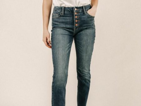 Bohme Petite Medium Wash Skinny Denim For Cheap