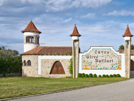 VISITA CELLER FINCA BATLLORI + MIRADOR DE LES CAVES Hot on Sale