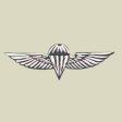 JUMP WINGS Insignia Cheap