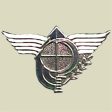 OREV NACHAL - Commando Insignia Online Sale