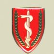 Medical Unit Insignia Supply