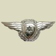 Metal Pilot Wings Insignia Online Hot Sale